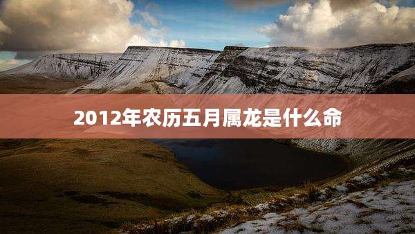 2012年农历五月属龙是什么命