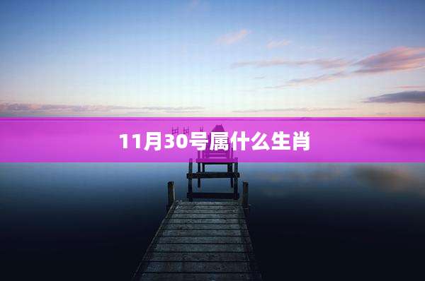 11月30号属什么生肖