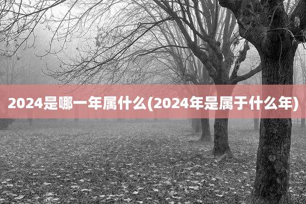 2024是哪一年属什么(2024年是属于什么年)