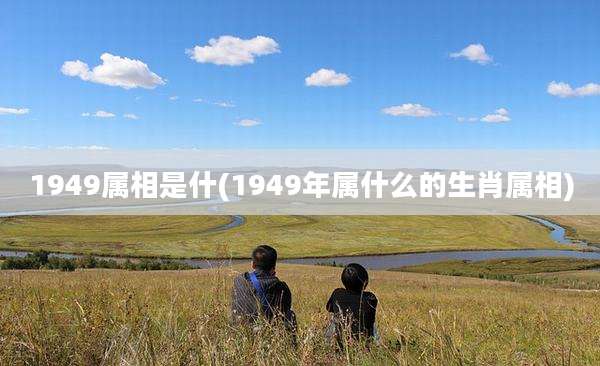 1949属相是什(1949年属什么的生肖属相)