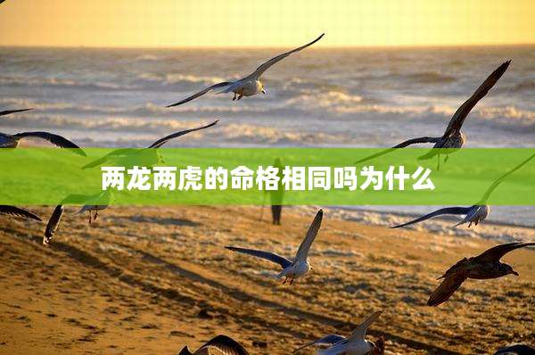 两龙两虎的命格相同吗为什么
