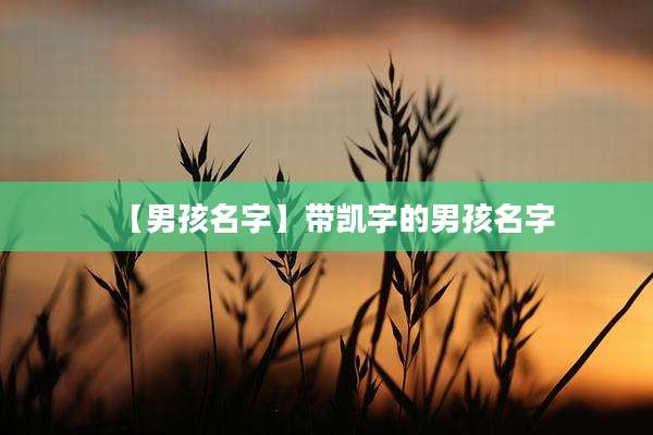 【男孩名字】带凯字的男孩名字