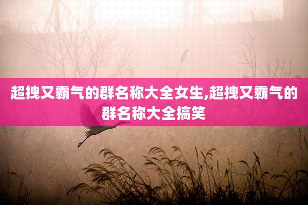 超拽又霸气的群名称大全女生,超拽又霸气的群名称大全搞笑