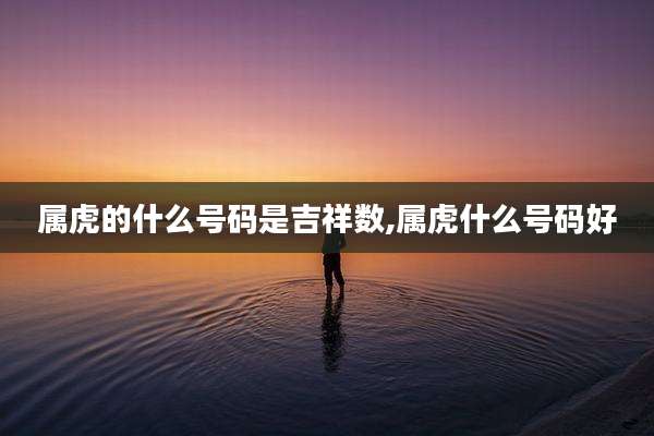 属虎的什么号码是吉祥数,属虎什么号码好
