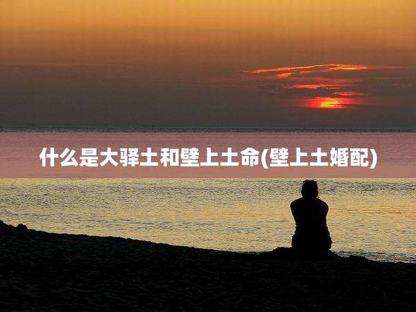 什么是大驿土和壁上土命(壁上土婚配)