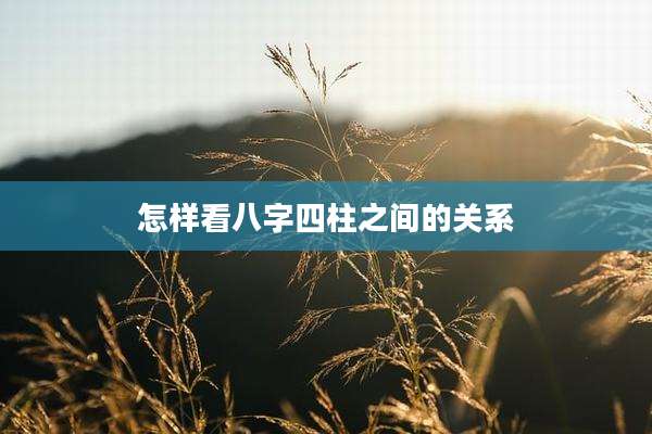 怎样看八字四柱之间的关系