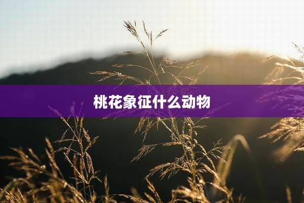 桃花象征什么动物