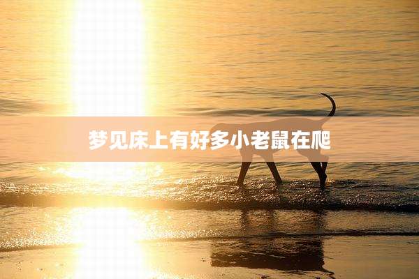 梦见床上有好多小老鼠在爬