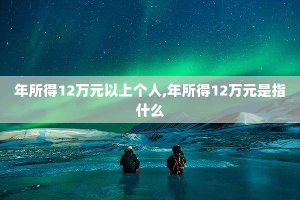 年所得12万元以上个人,年所得12万元是指什么