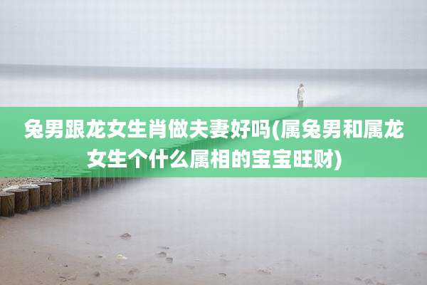 兔男跟龙女生肖做夫妻好吗(属兔男和属龙女生个什么属相的宝宝旺财)