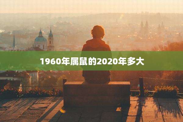 1960年属鼠的2020年多大