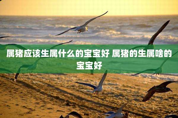 属猪应该生属什么的宝宝好 属猪的生属啥的宝宝好