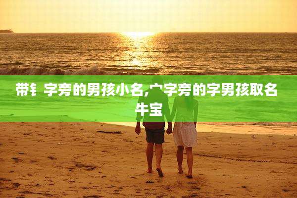 带钅字旁的男孩小名,宀字旁的字男孩取名 牛宝