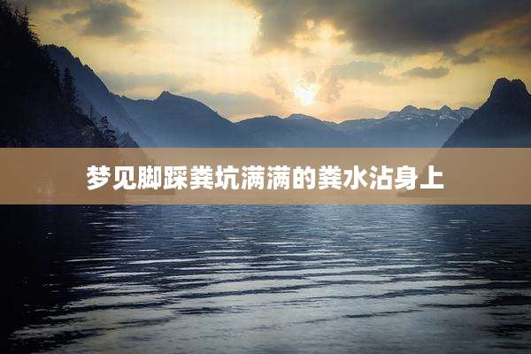 梦见脚踩粪坑满满的粪水沾身上
