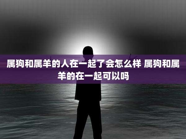属狗和属羊的人在一起了会怎么样 属狗和属羊的在一起可以吗