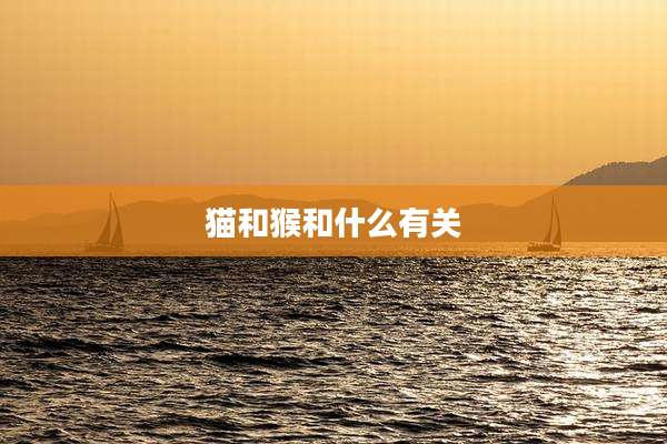 猫和猴和什么有关