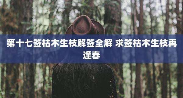第十七签枯木生枝解签全解 求签枯木生枝再逢春