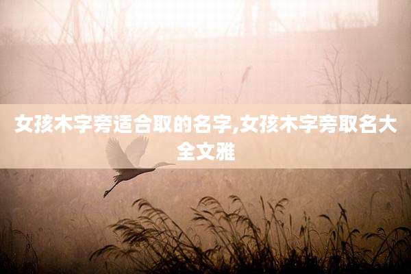 女孩木字旁适合取的名字,女孩木字旁取名大全文雅