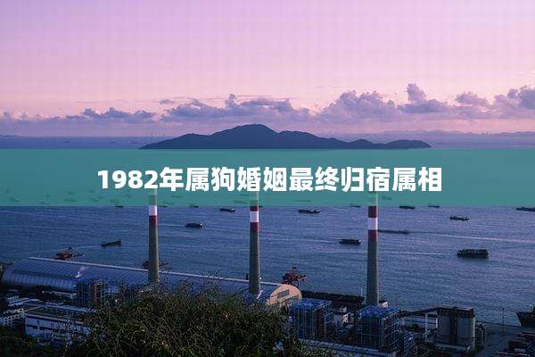 1982年属狗婚姻最终归宿属相