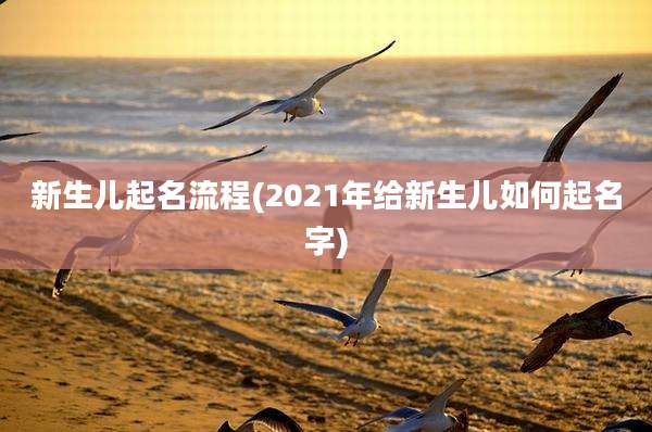 新生儿起名流程(2021年给新生儿如何起名字)