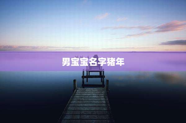男宝宝名字猪年