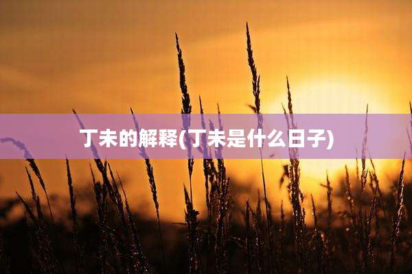 丁未的解释(丁未是什么日子)
