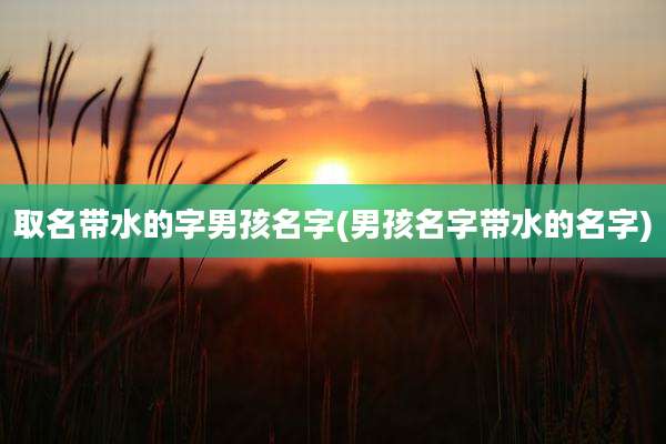 取名带水的字男孩名字(男孩名字带水的名字)