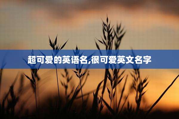 超可爱的英语名,很可爱英文名字