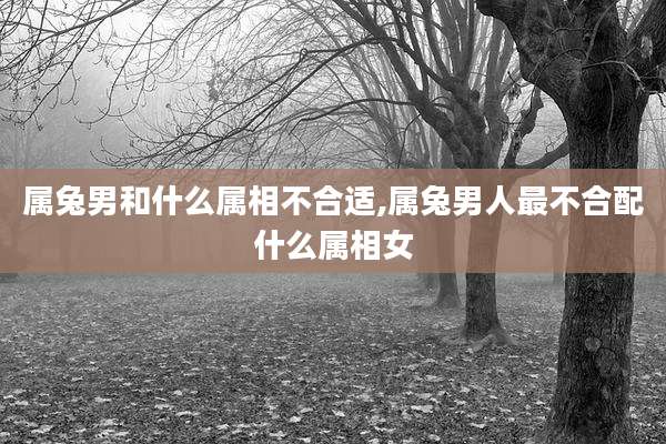 属兔男和什么属相不合适,属兔男人最不合配什么属相女