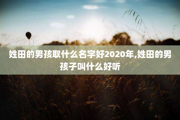 姓田的男孩取什么名字好2020年,姓田的男孩子叫什么好听