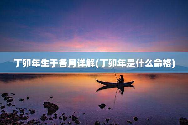丁卯年生于各月详解(丁卯年是什么命格)