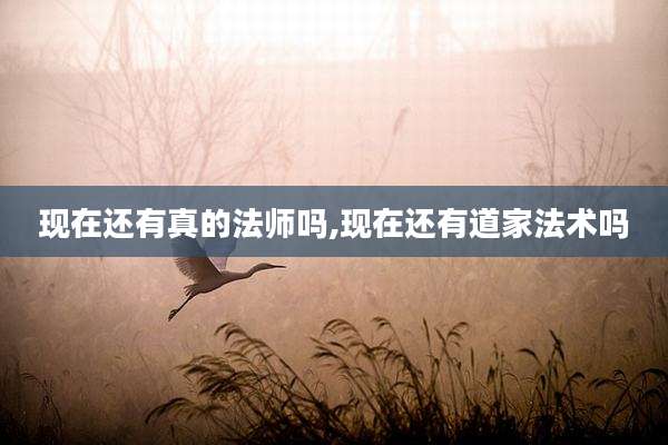 现在还有真的法师吗,现在还有道家法术吗