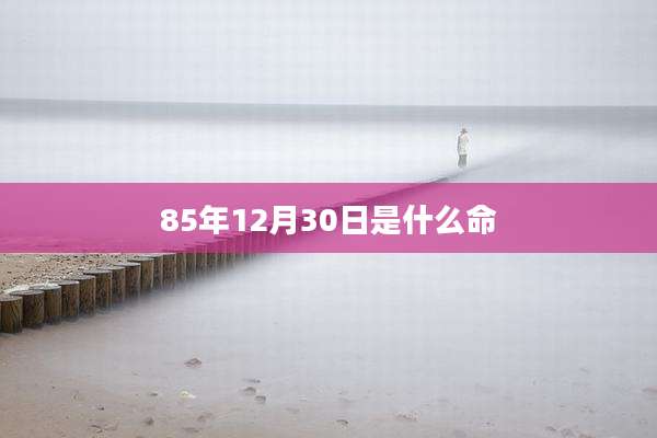 85年12月30日是什么命