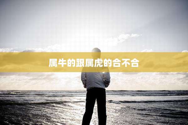 属牛的跟属虎的合不合