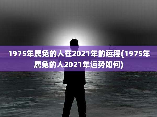 1975年属兔的人在2021年的运程(1975年属兔的人2021年运势如何)