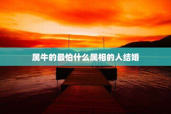 属牛的最怕什么属相的人结婚