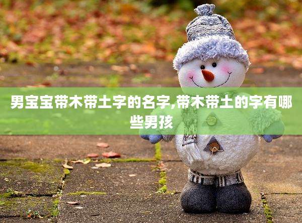 男宝宝带木带土字的名字,带木带土的字有哪些男孩