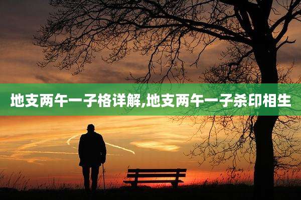 地支两午一子格详解,地支两午一子杀印相生