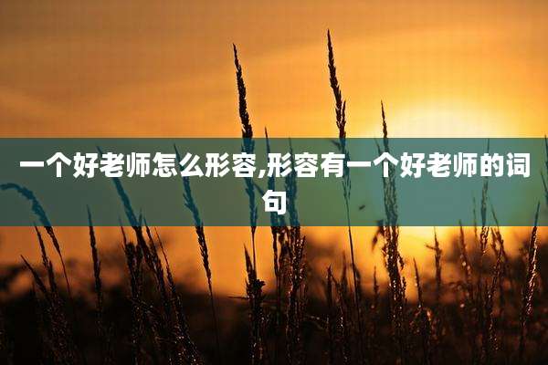 一个好老师怎么形容,形容有一个好老师的词句