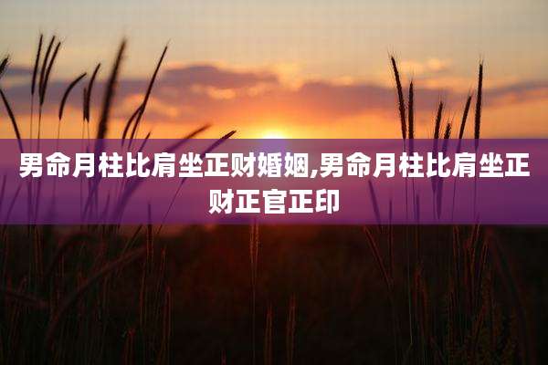 男命月柱比肩坐正财婚姻,男命月柱比肩坐正财正官正印