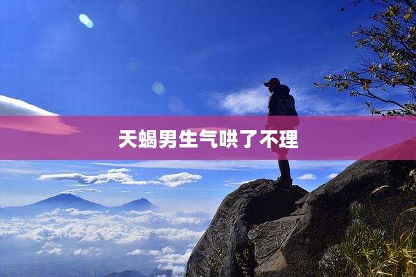 天蝎男生气哄了不理