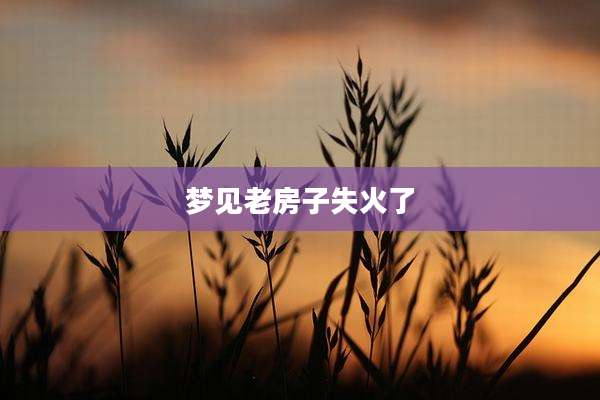梦见老房子失火了