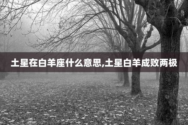 土星在白羊座什么意思,土星白羊成败两极