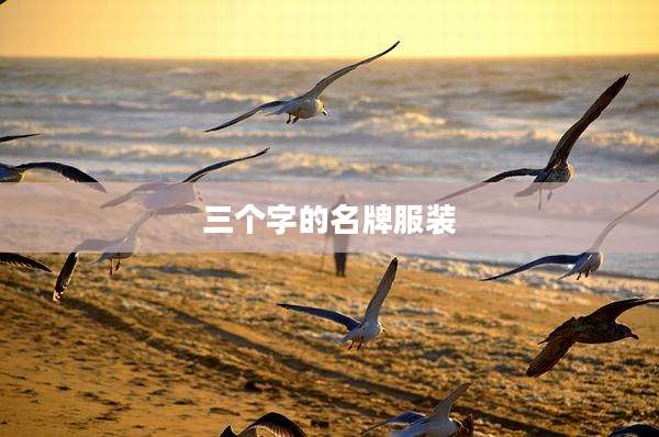 三个字的名牌服装