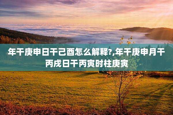 年干庚申日干己酉怎么解释?,年干庚申月干丙戌日干丙寅时柱庚寅