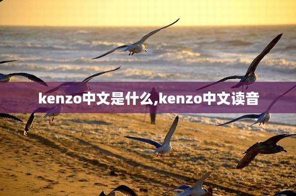 kenzo中文是什么,kenzo中文读音