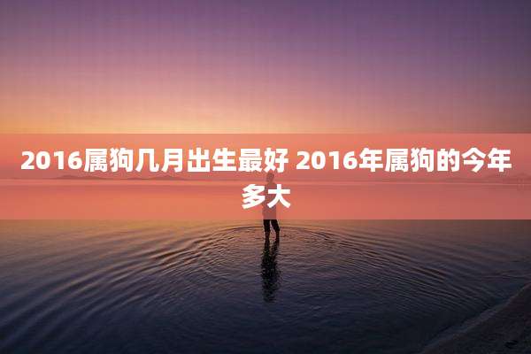 2016属狗几月出生最好 2016年属狗的今年多大