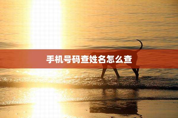 手机号码查姓名怎么查