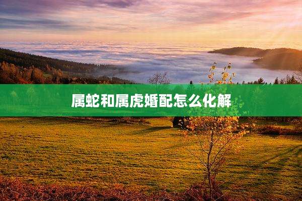 属蛇和属虎婚配怎么化解