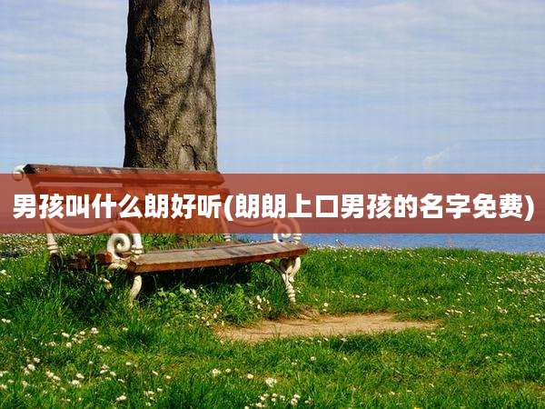 男孩叫什么朗好听(朗朗上口男孩的名字免费)